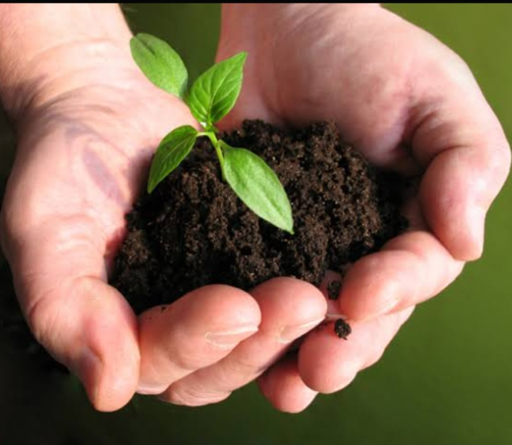 AGRICULTURE